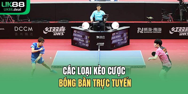 Cược Bóng Bàn UK88 – Kèo Nhanh, Tỷ Lệ Chuẩn, Uy Tín 2 Các loại kèo cược bóng bàn trực tuyến