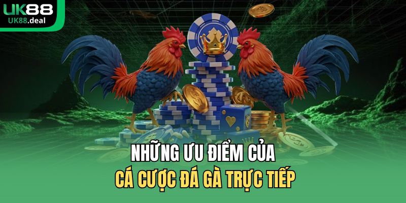 Cá Cược Đá Gà UK88 – Sảnh Đá Gà Uy Tín, Tỷ Lệ Kèo Cao 2 Những ưu điểm của cá cược đá gà trực tiếp